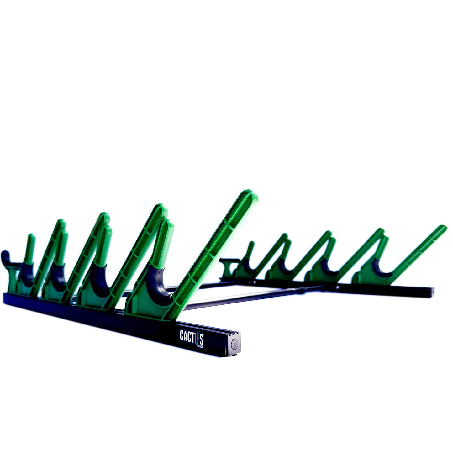Cactus Rack holding skis for cargo roof box