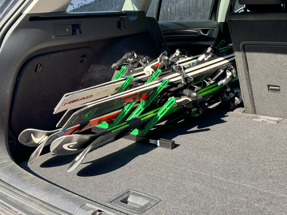 CactusRack ski rack inside a roof box