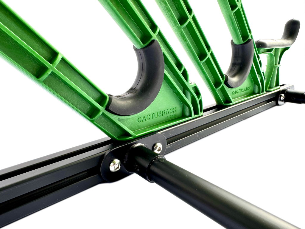 Cactus Rack holding skis for cargo roof box